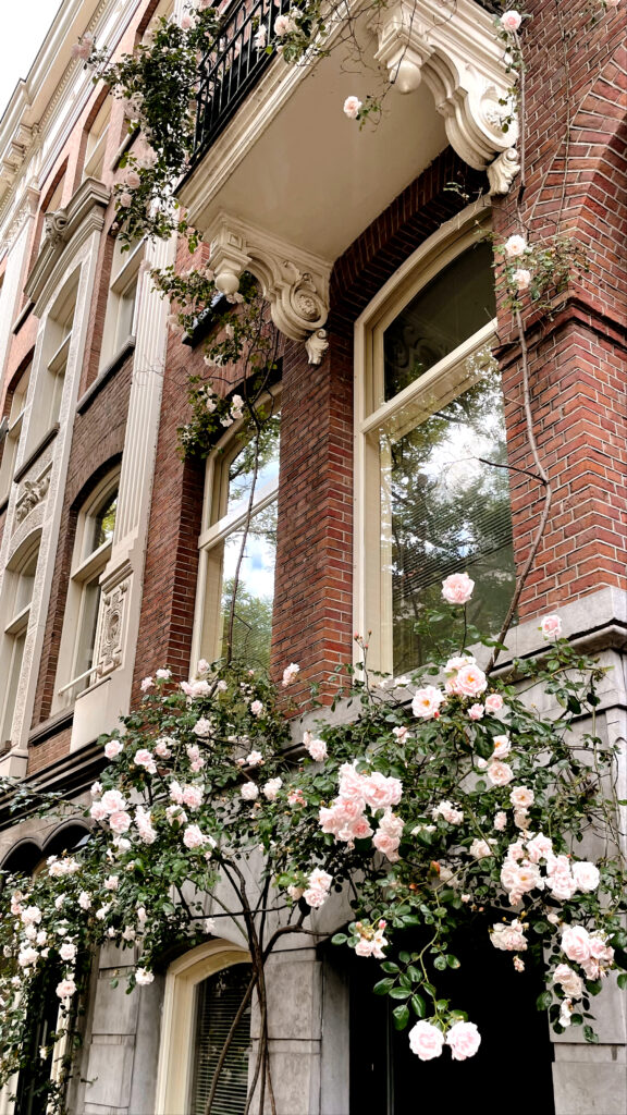 vastgoed in Haarlem