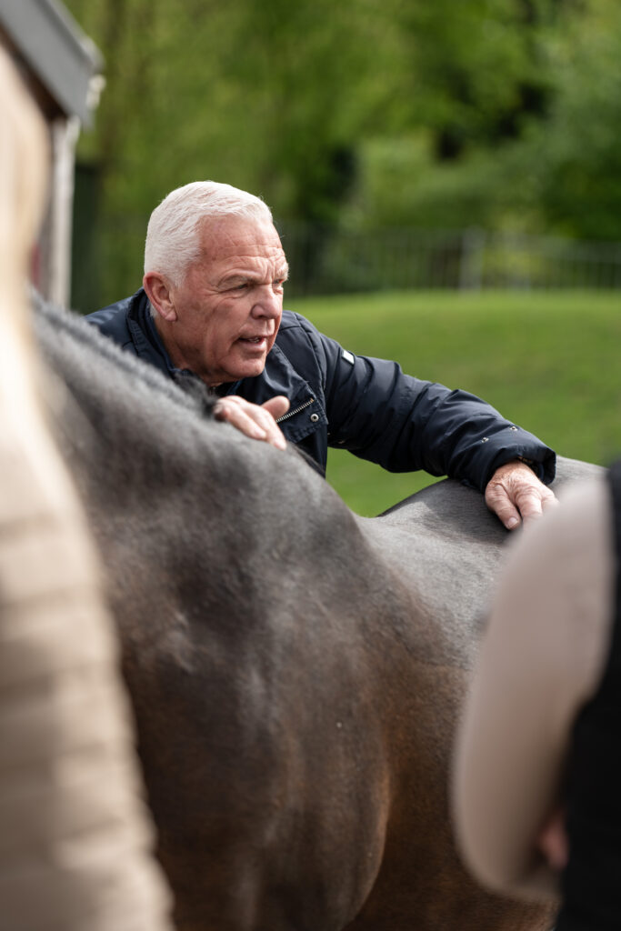 Marketing paardensport voor NHI-EQUI hippische opleidingen